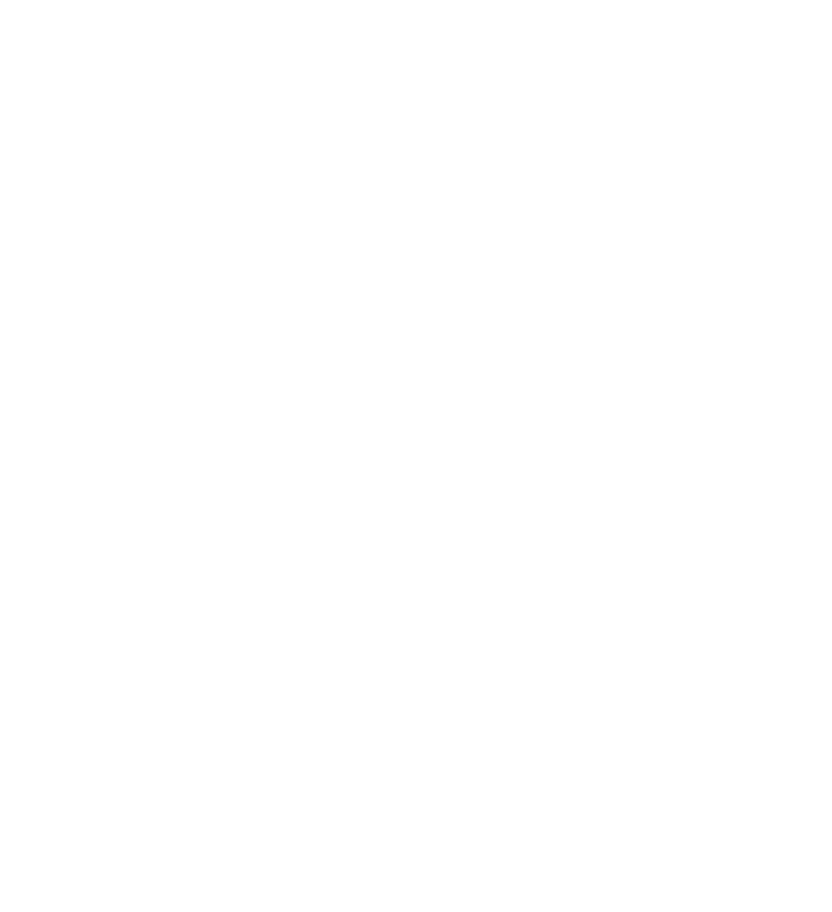 Stynexture logo